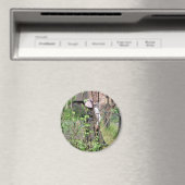 VIKTORIANISCHES ENGLAND MAGNET (In Situ (Geschirrspüler))