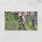 VIKTORIANISCHES ENGLAND VISITENKARTE (Rückseite)