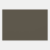 Viktorianisches Gothic Lace & Perchment 3-Blatt-Se Geschenkpapier Set (Vorderseite 3)