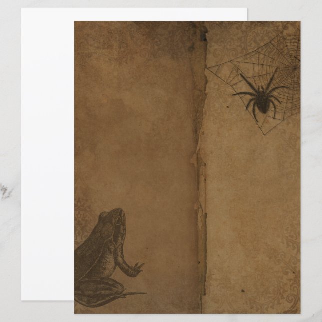 Viktorianisches Halloween-Gothic-Froschbuch (Vorne/Hinten)