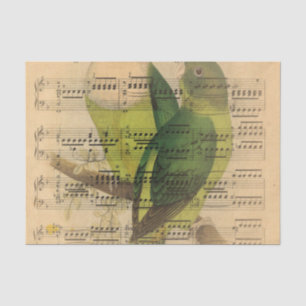 Viktorianisches Notenblatt-Wasserfarben-Vogel-Wall Seidenpapier