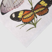 Viktorianisches Schmetterlingspapier Seidenpapier (Detail)