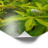 Vikurkirkja, Island Fotodruck (Ecke)