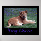 Vilas Zoo Cub Poster (Vorne)