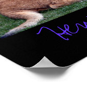 Vilas Zoo Cub Poster (Ecke)