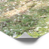 Villa Bertramka-Mozart-Prag Poster (Ecke)