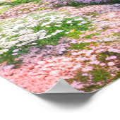 Villa in voller Blüte Poster (Ecke)