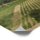 Villa St. Andrea', Chianti Classico Poster (Ecke)