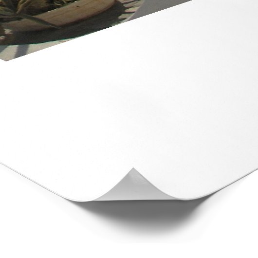 Villa Tür in Santorini Poster (Ecke)