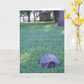 "Village Snapping Turtle" Geburtskarte Karte (Gelbe Blume)