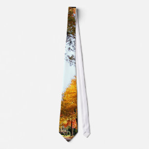 Village Street in Autumn Krawatte