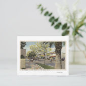 Village Street, Palm Canyon Drive Postkarte (Stehend Vorderseite)