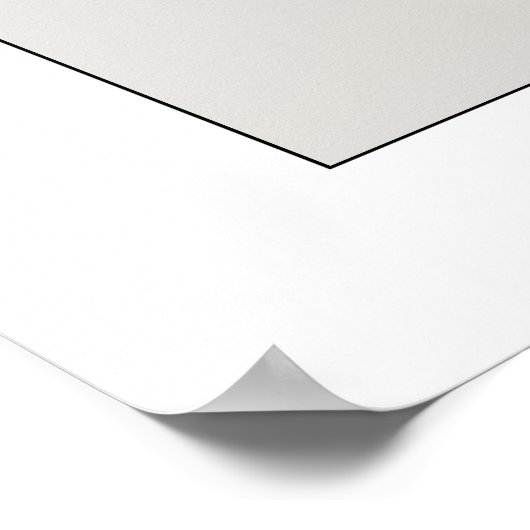 Villarceau Circles Poster (Ecke)