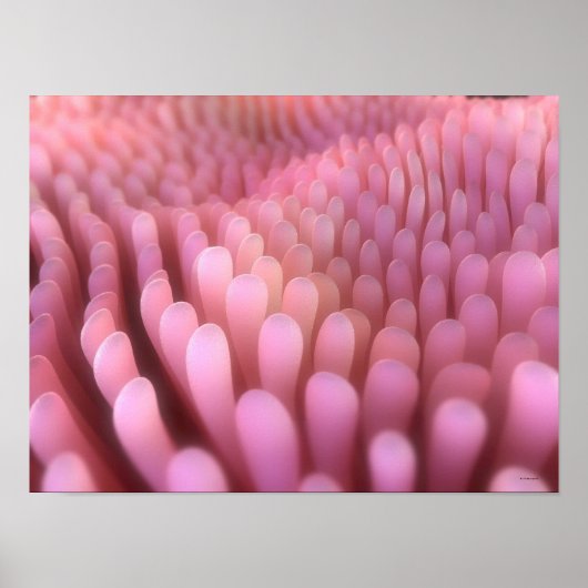 Villi 2 poster (Vorne)