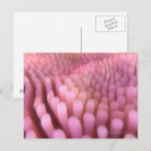 Villi 2 postkarte (Vorne/Hinten)