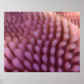 Villi Poster (Vorne)