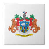 Viña del Mar Wappen, Chile Fliese (Vorderseite)