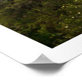 Vinales Poster (Ecke)