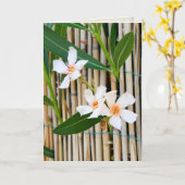 Vinca Blume auf Bambuszaun Beileid Karte (Gelbe Blume)