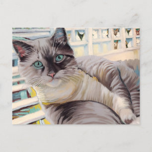 Vincent Cat Gogh Postcard Postkarte