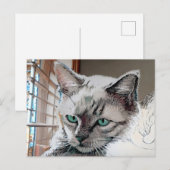 Vincent Cat Gogh Postcard Postkarte (Vorne/Hinten)