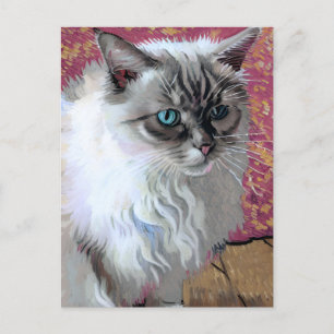 Vincent Cat Gogh Postcard Postkarte