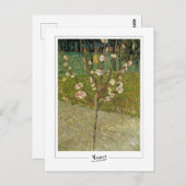 Vincent Van Gogh #14-3 - Fine Art Postkarte (Vorne/Hinten)