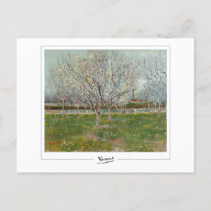Vincent Van Gogh #20-3 - Fine Art Postkarte