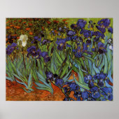 Vincent van Gogh 31 Poster (Vorne)