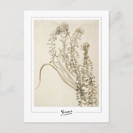 Vincent Van Gogh #356-3 - Fine Art Postkarte (Vorderseite)