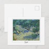 Vincent Van Gogh #8-3 - Fine Art Postkarte (Vorne/Hinten)