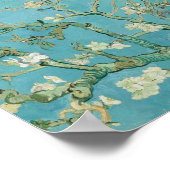 Vincent van Gogh - Almond blossom Poster (Ecke)