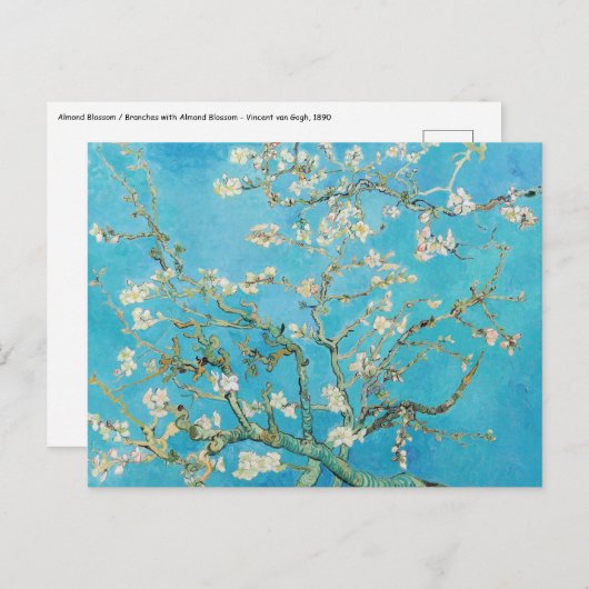 Vincent van Gogh - Almond Blossom Postkarte (Vorne/Hinten)