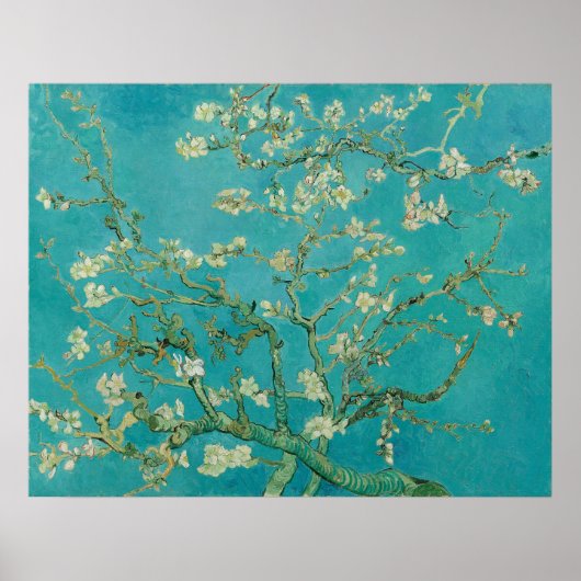 Vincent van Gogh Almond Blossoms Poster (Vorne)