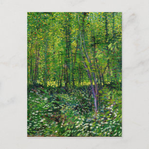 Vincent Van Gogh Bäume und Unterholz Postkarte