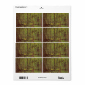 Vincent van Gogh - Bäume und Unterwuchs (Vorne)