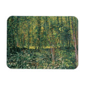 Vincent van Gogh | Bäume und Unterwuchs, 1887 Magnet (Horizontal)