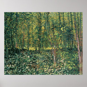 Vincent van Gogh   Bäume und Unterwuchs, 1887 Poster