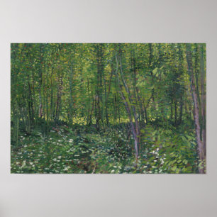 Vincent van Gogh - Bäume und Unterwuchs Poster