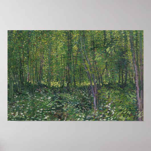 Vincent van Gogh - Bäume und Unterwuchs Poster (Vorne)