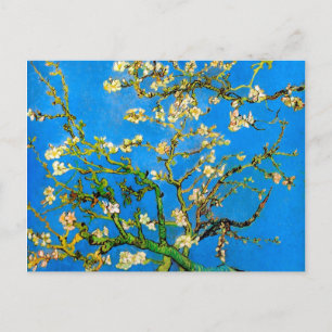 Vincent Van Gogh - Blühender Mandelbaum Kunst Postkarte