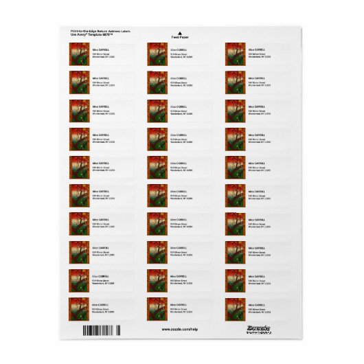 Vincent van Gogh - Blütenpflanzenbaum (Vorne)