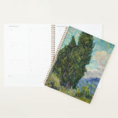 Vincent van Gogh - Cypresses Planer (Anzeige)