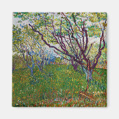 Vincent van Gogh - Der blühende Obstgarten Magnet (Vorne)