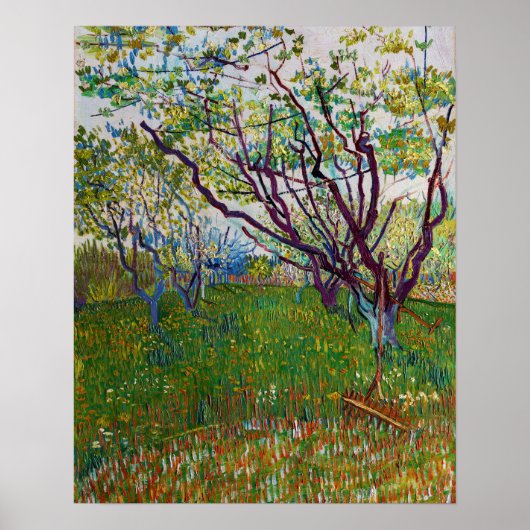 Vincent van Gogh - Der blühende Obstgarten Poster (Vorne)