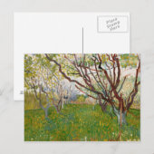 Vincent van Gogh - Der blühende Obstgarten Postkarte (Vorne/Hinten)