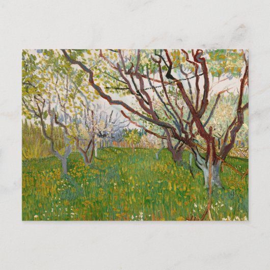 Vincent van Gogh - Der blühende Obstgarten Postkarte (Vorderseite)