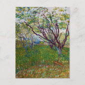 Vincent van Gogh - Der blühende Obstgarten Postkarte (Vorderseite)