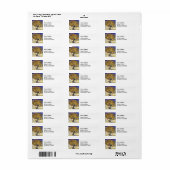 Vincent van Gogh - Der Mulberry-Baum (Vorne)