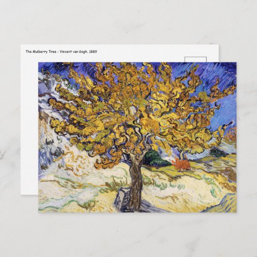 Vincent van Gogh - Der Mulberry-Baum Postkarte (Vorne/Hinten)